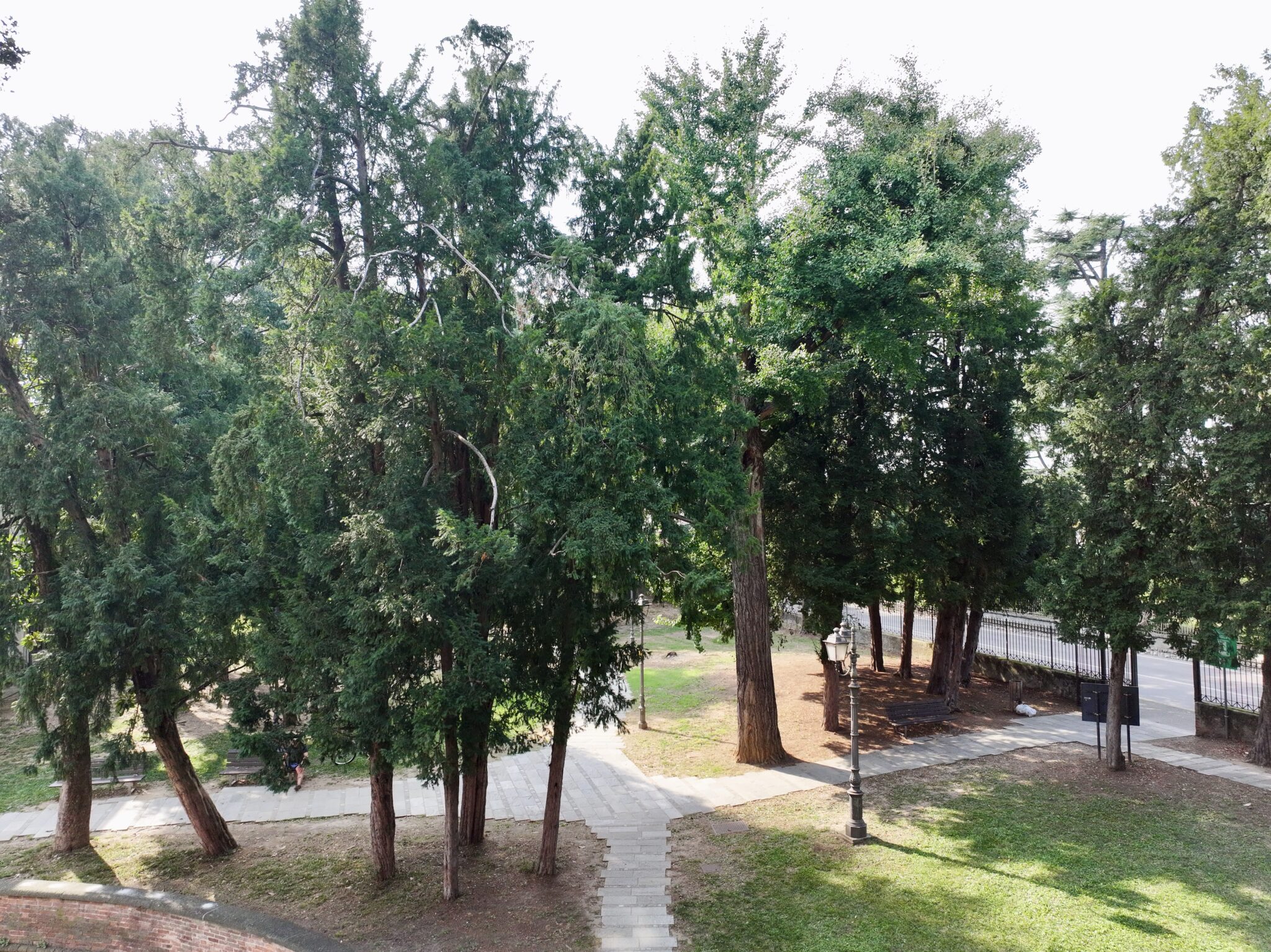 Parco Della rocca